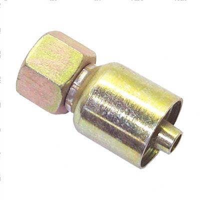 Picture of Female Metri