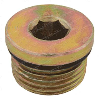 Picture of Plug - Int Hex W/O-Ring