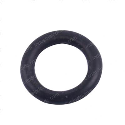 Picture of O-Ring