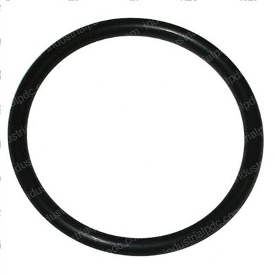 Picture of O-Ring