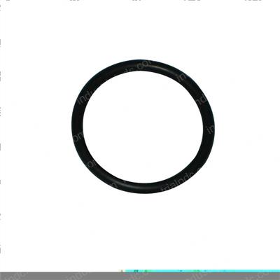 Picture of O-Ring