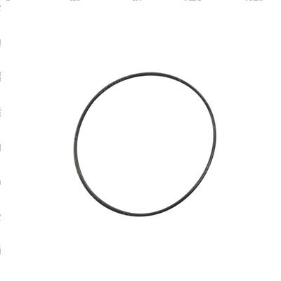 Picture of O-Ring