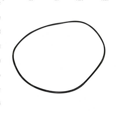 Picture of O-Ring