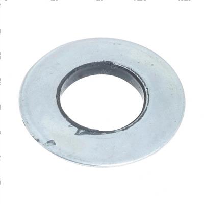 Picture of Seal - Special