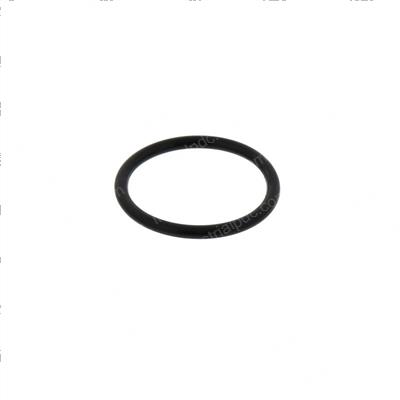 Picture of O-Ring