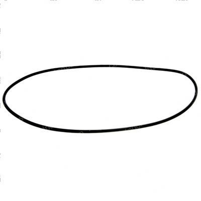 Picture of O-Ring