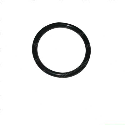 Picture of O-Ring