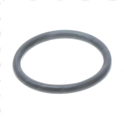 Picture of O-Ring