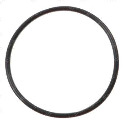 Picture of O-Ring P60