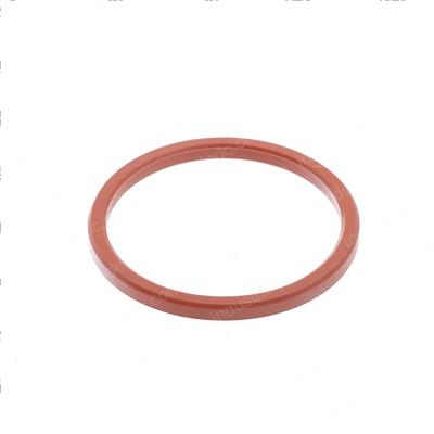 Picture of Gasket