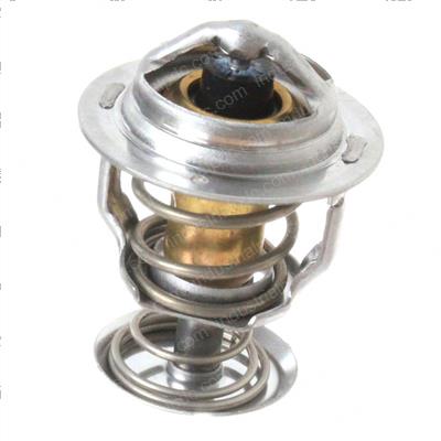 Picture of Thermostat Assembly