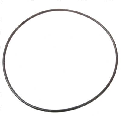 Picture of O-Ring
