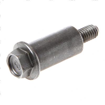 Picture of Bolt