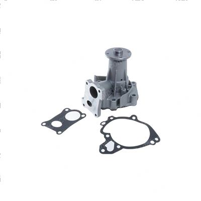 Picture of Pump Assembly -Water