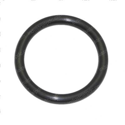 Picture of O-Ring