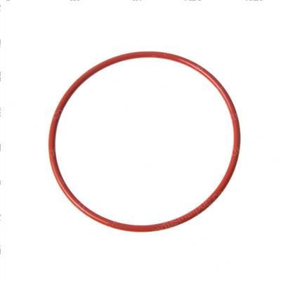 Picture of O-Ring
