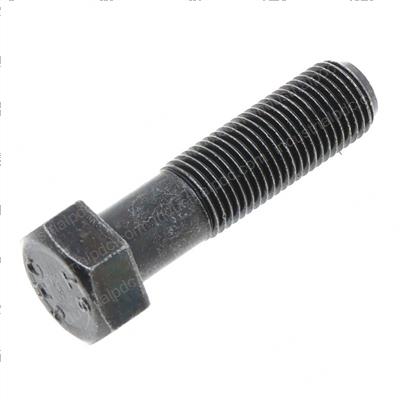 Picture of Bolt