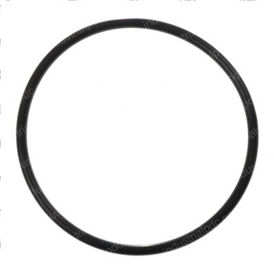 Picture of O-Ring