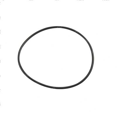 Picture of O-Ring