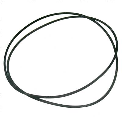 Picture of O-Ring