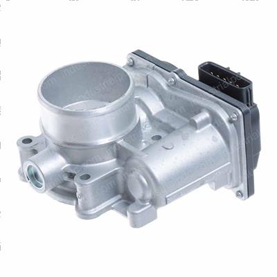 Picture of Throttle Body(int