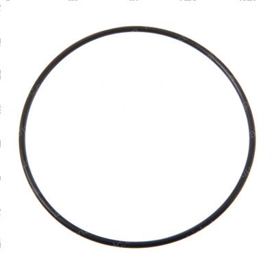 Picture of O-Ring