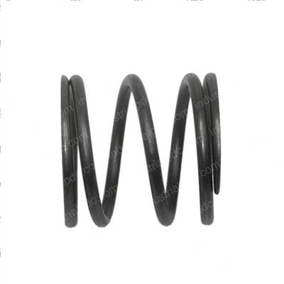 Picture of Spring Return