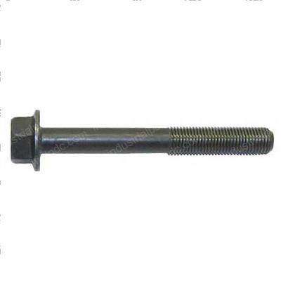 Picture of Bolt