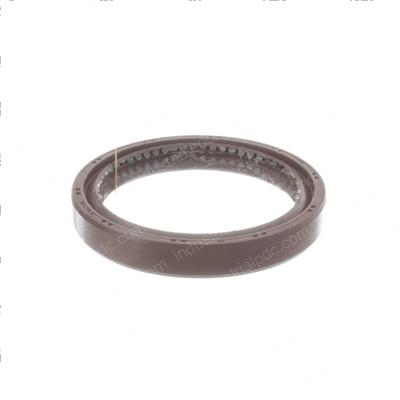 Picture of Seal - Oil