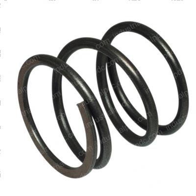 Picture of Spring Return