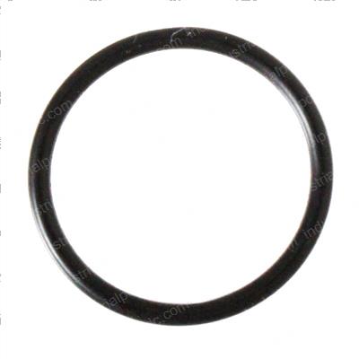Picture of O-Ring