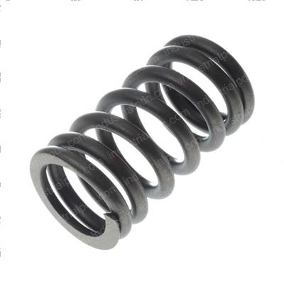 Picture of Spring- Valve B Series