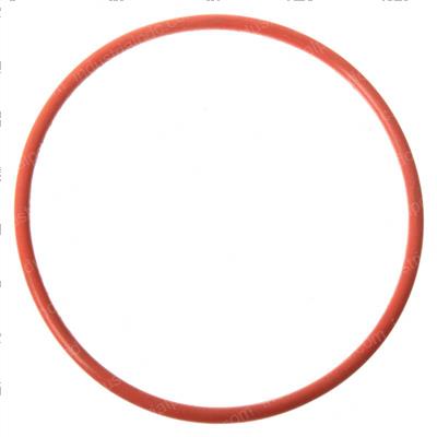 Picture of O-Ring