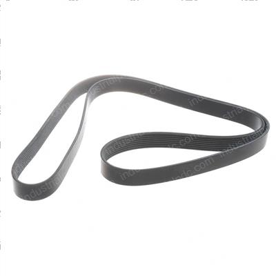Picture of Belt