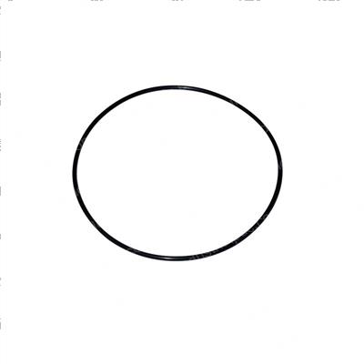 Picture of O-Ring