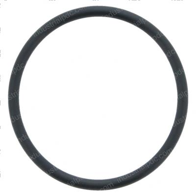 Picture of O-Ring