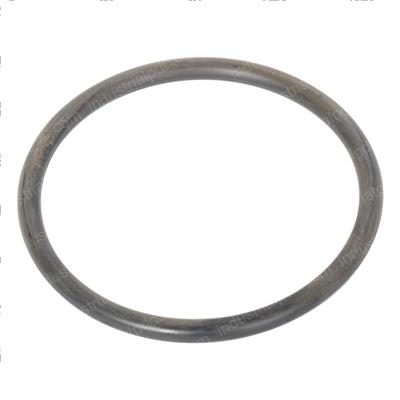 Picture of O-Ring Interpart