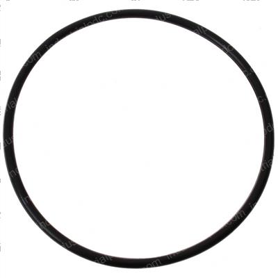 Picture of O-Ring