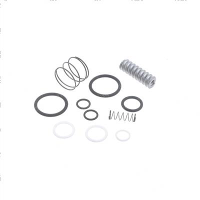 Picture of Seal + Spring Kit - Mcv