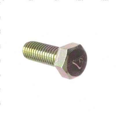 Picture of Bolt