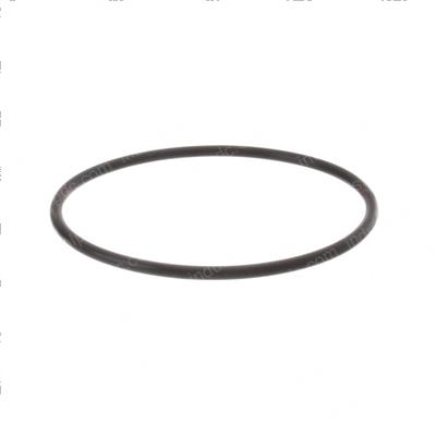 Picture of O-Ring