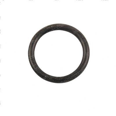 Picture of O-Ring