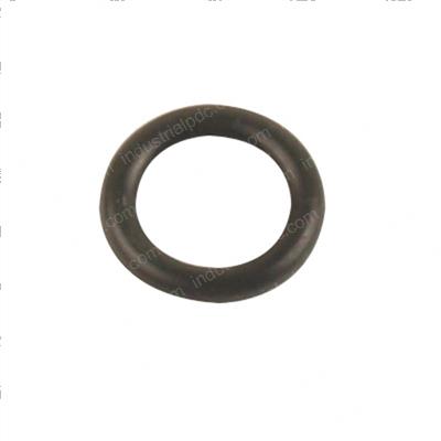 Picture of O-Ring