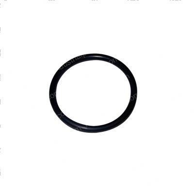 Picture of O-Ring