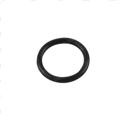 Picture of O-Ring