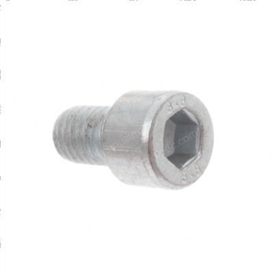 Picture of Screw