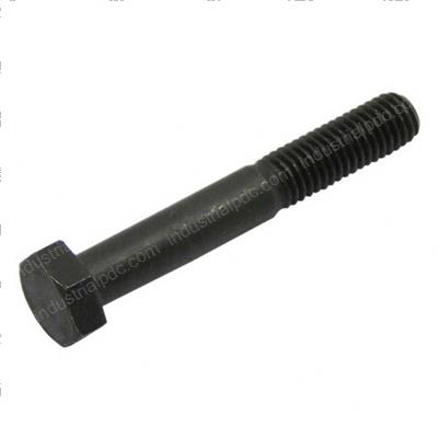 Picture of Bolt