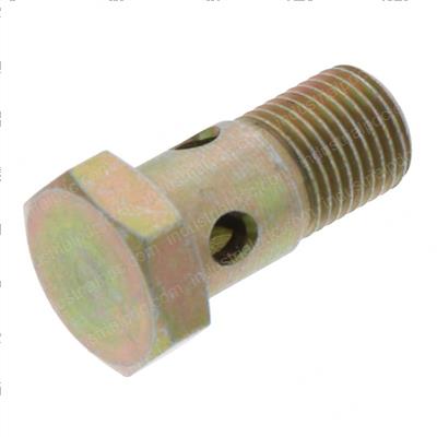 Picture of Screw- Hollow