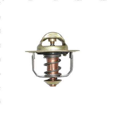 Picture of Thermostat