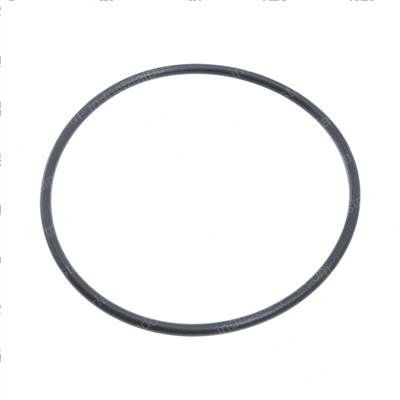 Picture of O-Ring